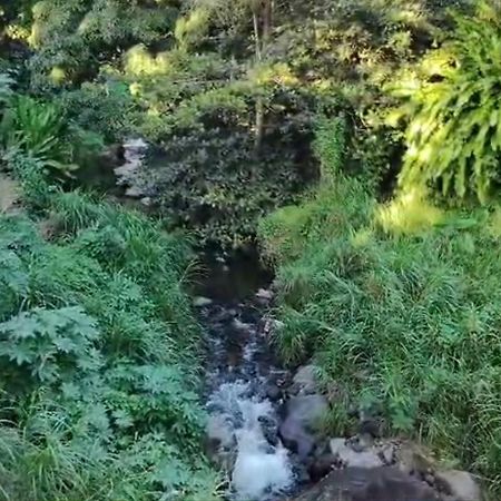 Dome En Bord De Riviere Ξενοδοχείο Saint-Claude Εξωτερικό φωτογραφία